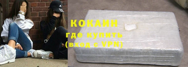 бошки Бородино