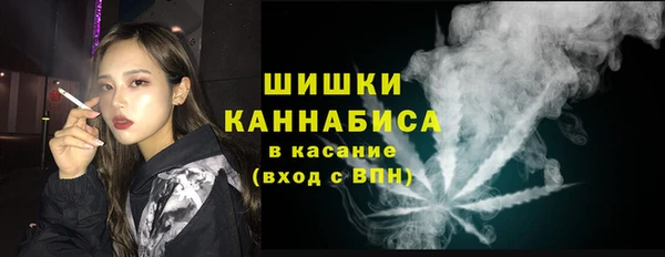 СК Бронницы