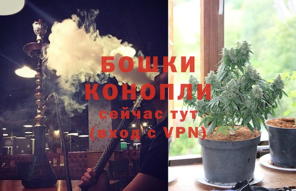 бошки Бородино
