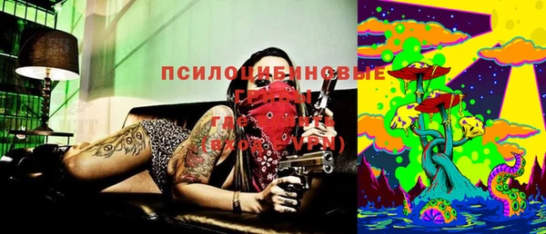 соль курить ск Богданович