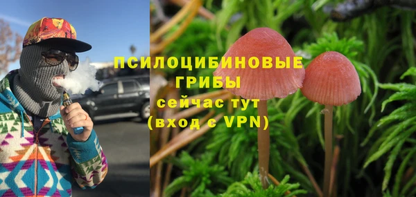 ALPHA PVP Бугульма