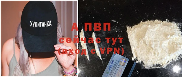 СК Бронницы
